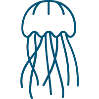 SMACK icon